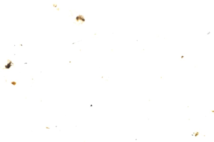 Image 49